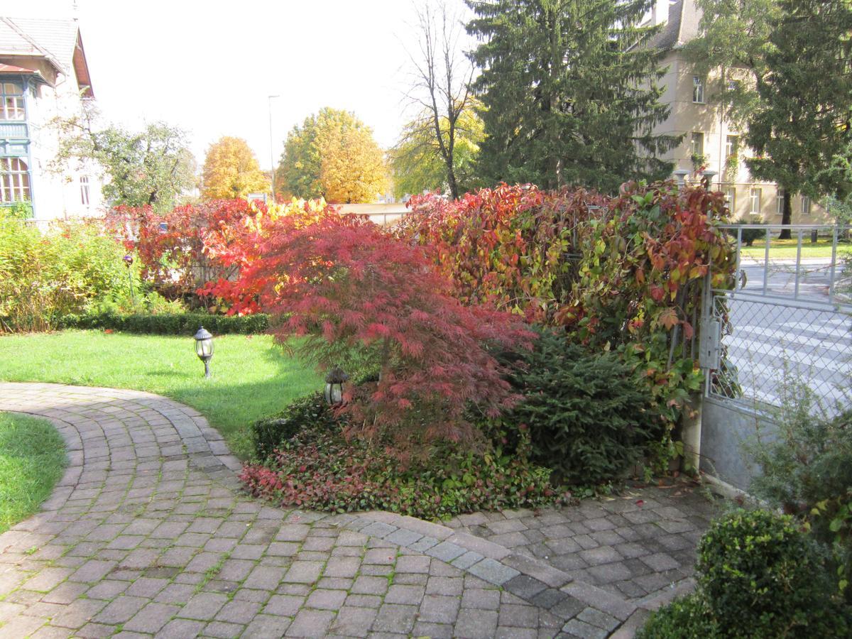 Guest House Veronika Kocevje Esterno foto